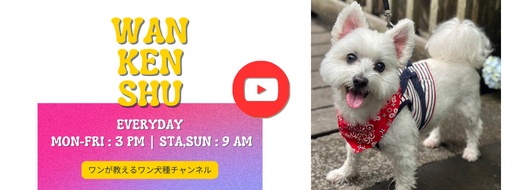 YouTube ワンが教えるワン犬種チャンネル